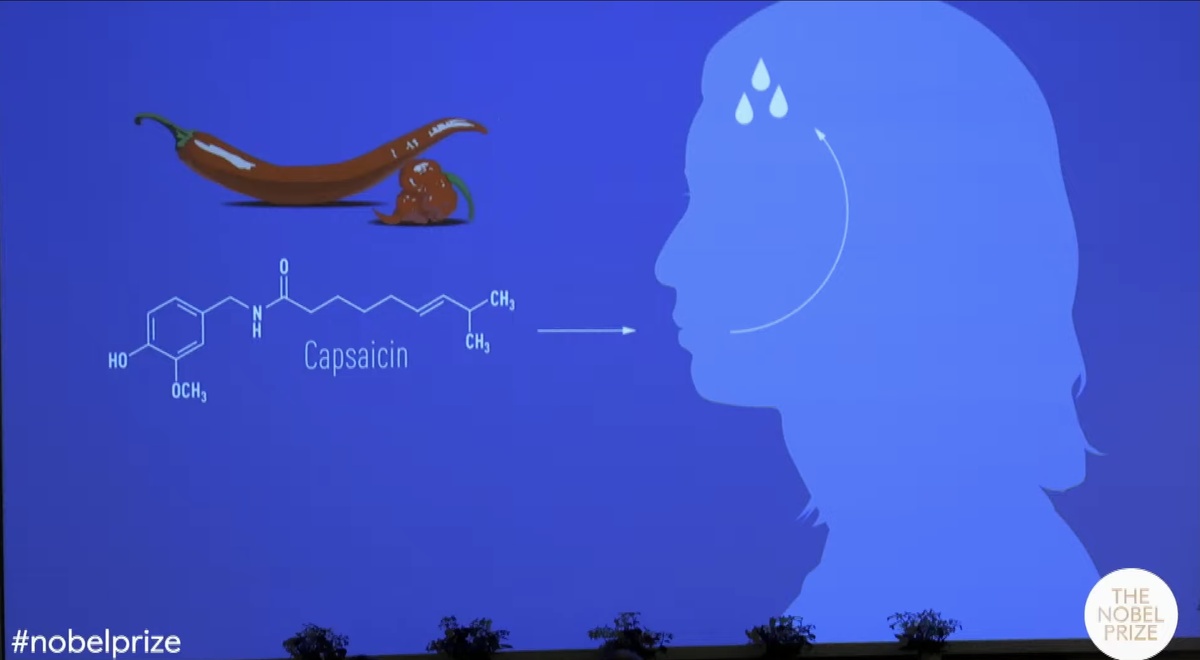 Перец Чили и капсаицин. Credit: YouTube, screenshot