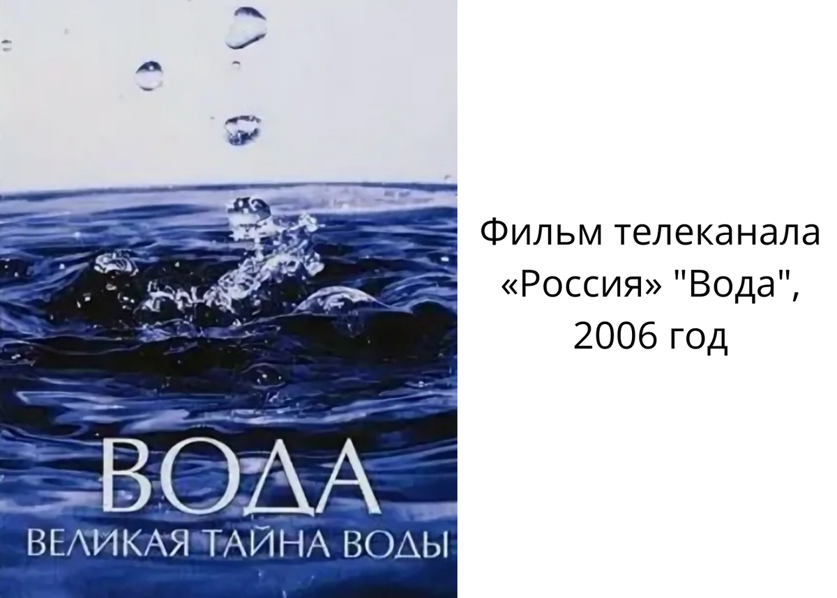 Глухари в Ленобласти глотают камни ради выживания в холода