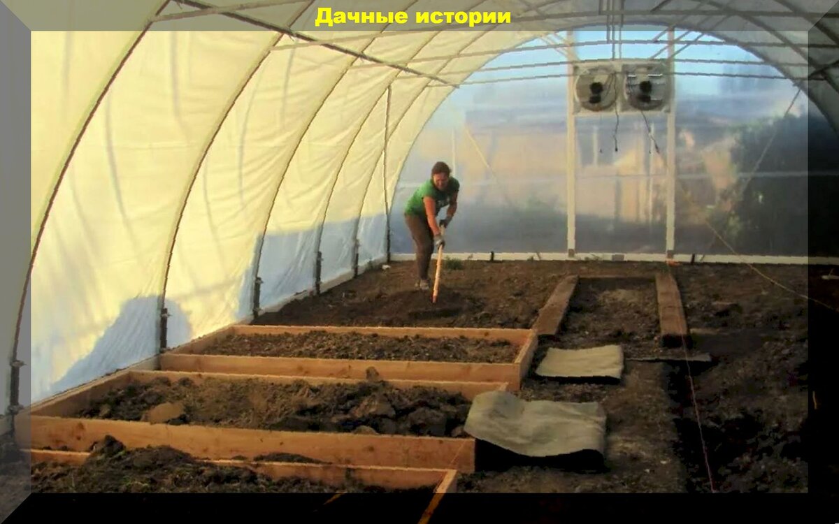 Чем обработать почву в теплице осенью