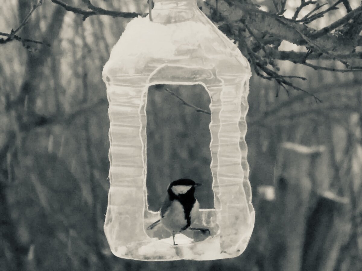 Источник Яндекс Картинки