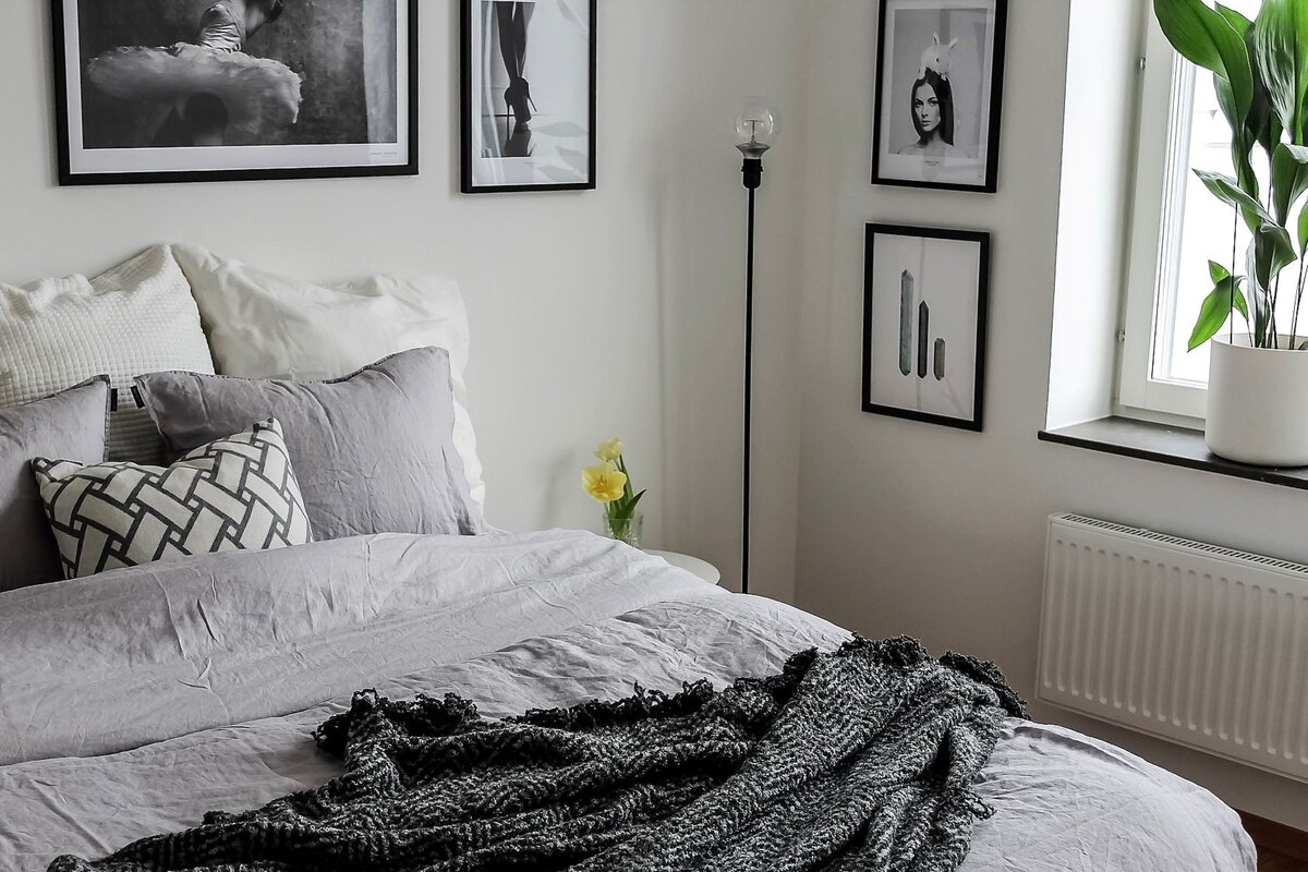 Цветы для спальни подбирают в первую очередь исходя из размера комнаты. Фото с сайта pixabay.com