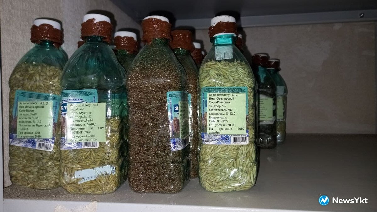 В банках самое ценное - семена (фото: news.ykt.ru) 