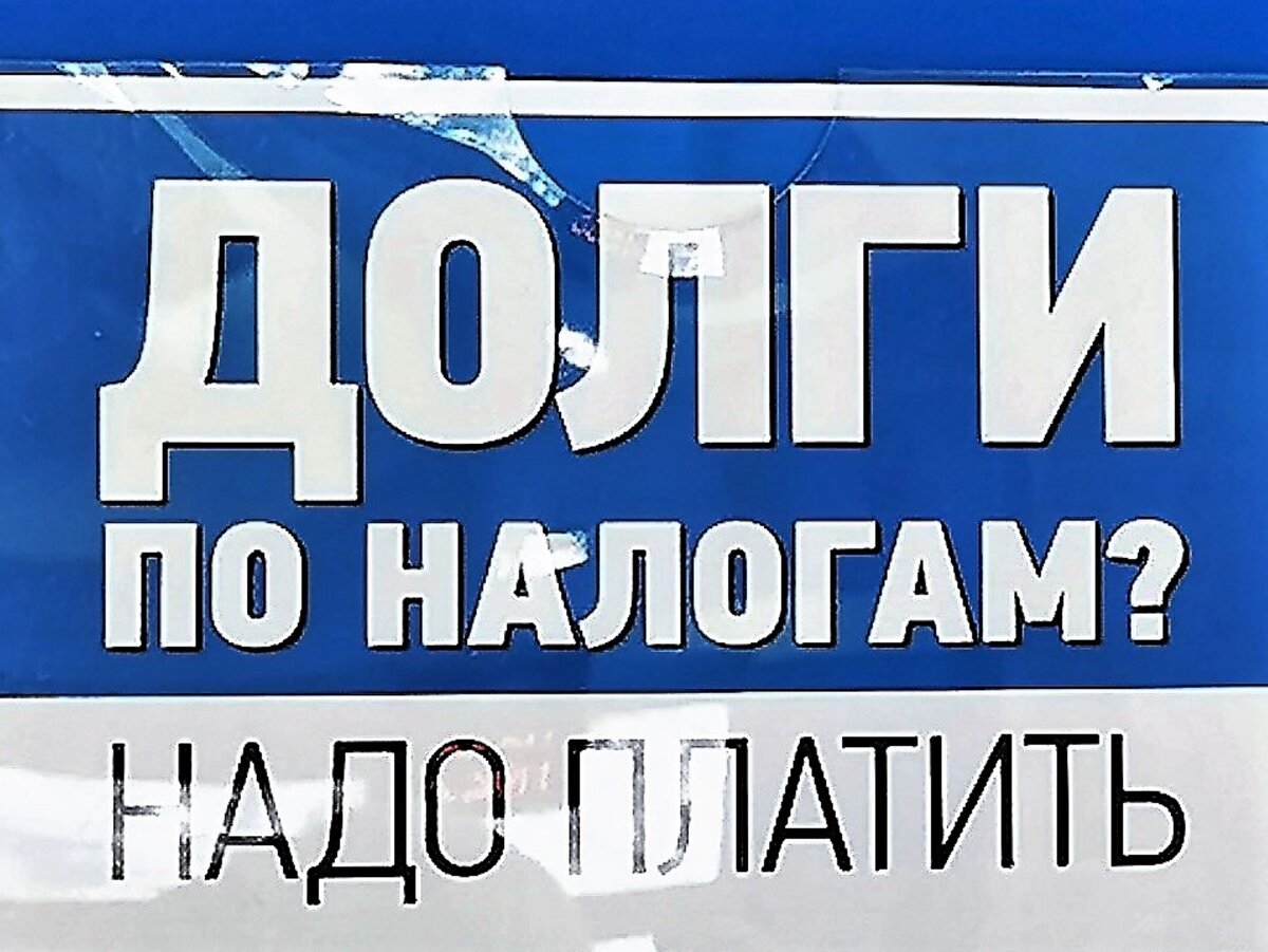 Выписка из налоговой службы. Фото автора 