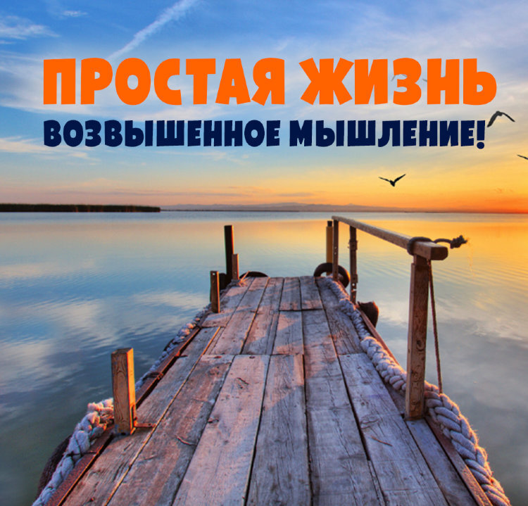 Жить просто жить картинки