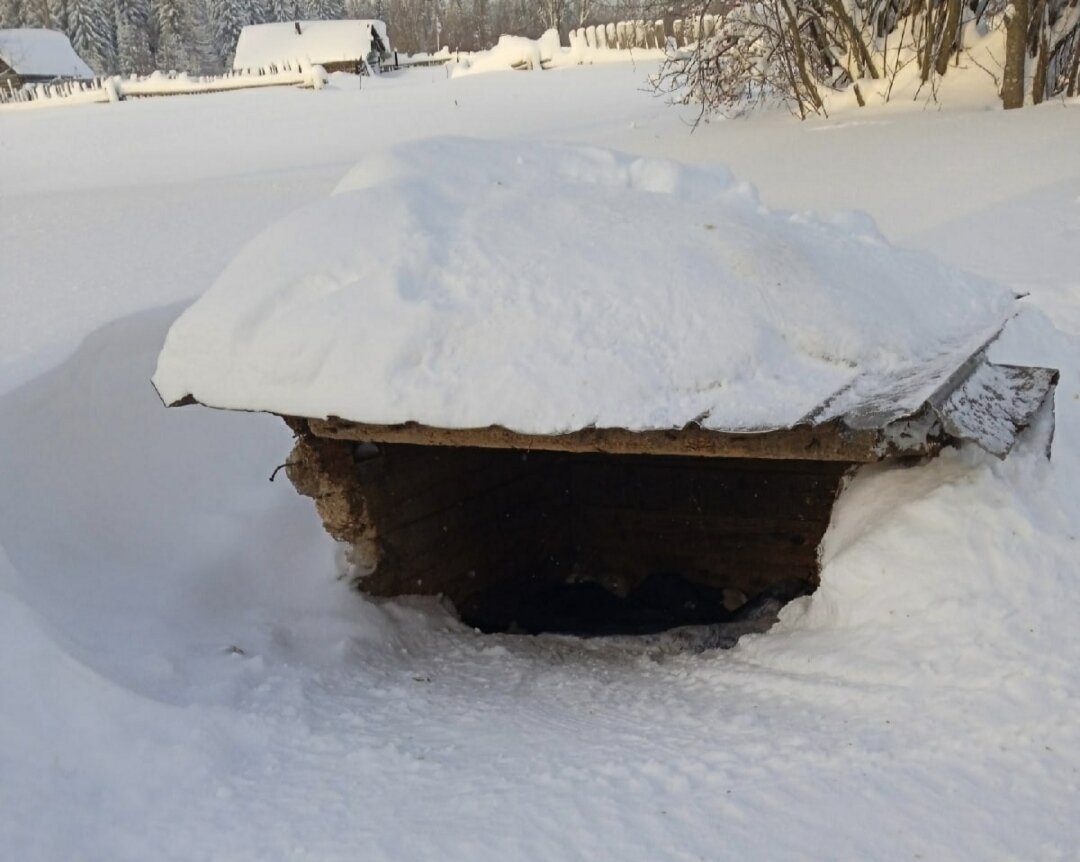 Будка наполовину занесена снегом  была  уже в  середины зимы.