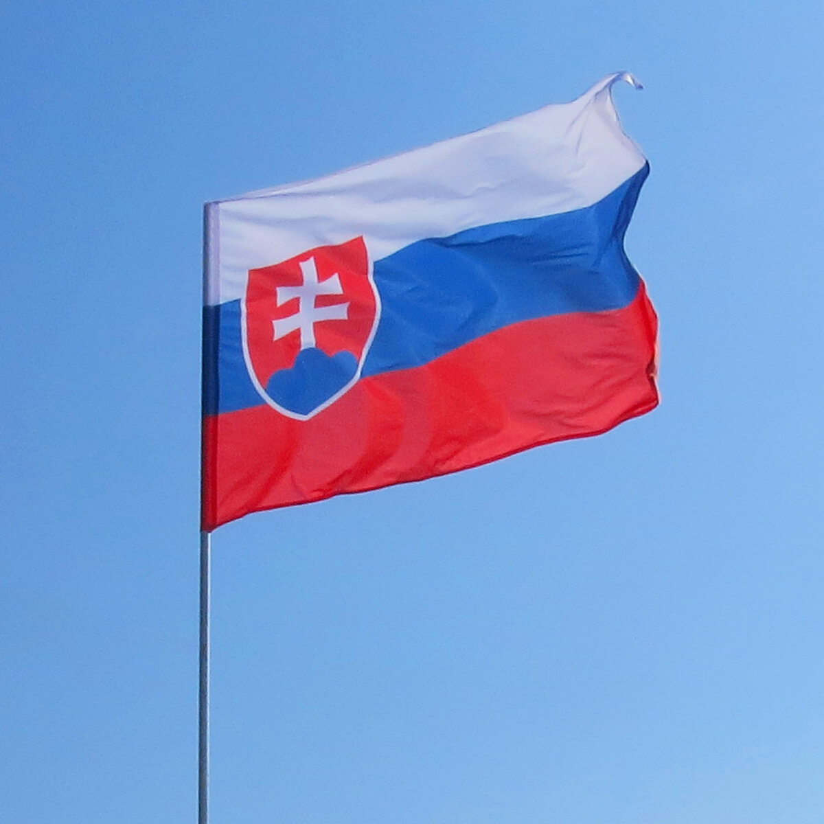 Как выглядит флаг словакии
