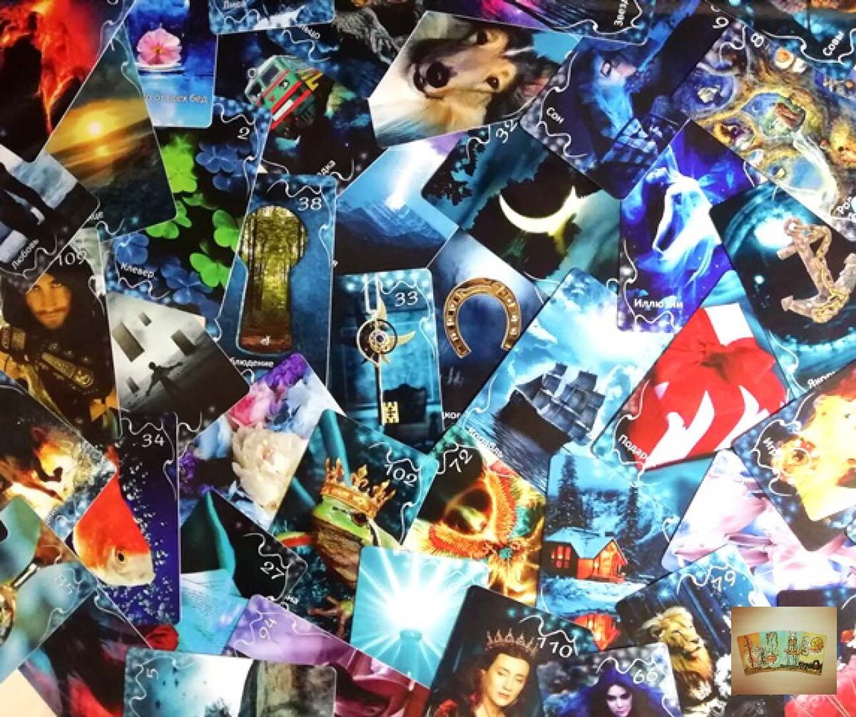 Фото принадлежит автору канала