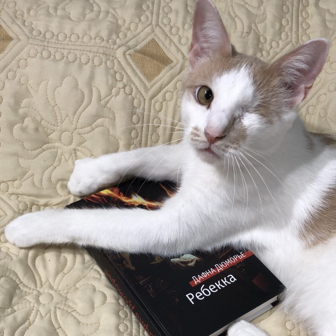 (с) Крошка Читатель