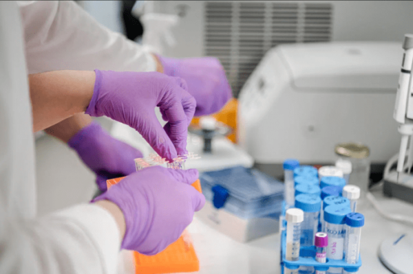    Фото: пресс-служба Университета «Сириус»