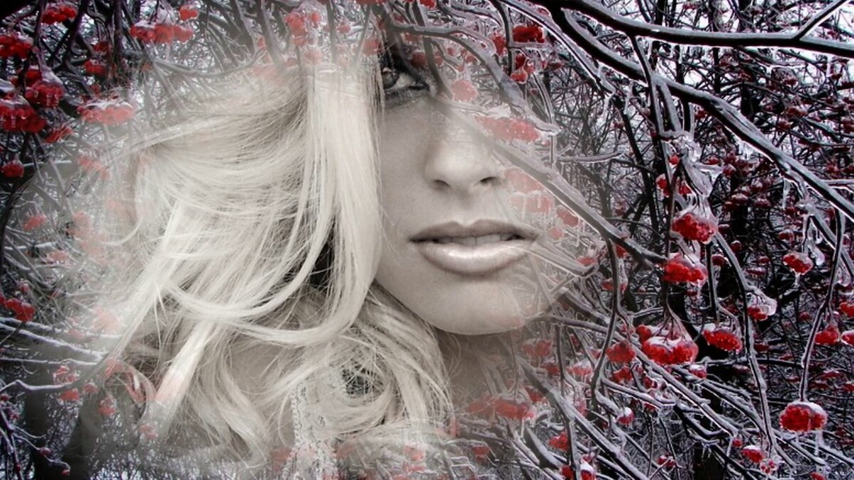 Изображение из открытых источников