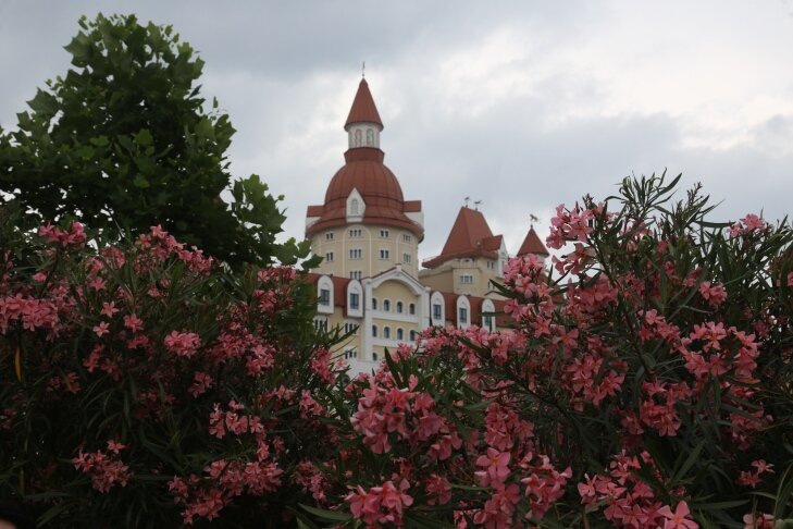    Фото Алексея Танюшина