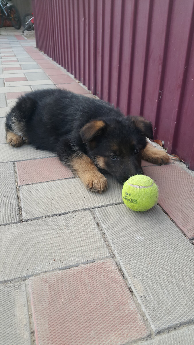 Первый день, грустим.