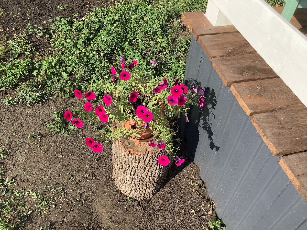 Ох, любят у нас мышки под домом норки рыть, приходится раскладывать отпугиватели