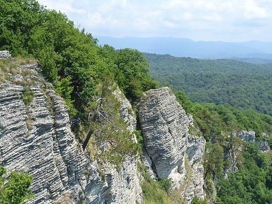     фото: wikipedia.org