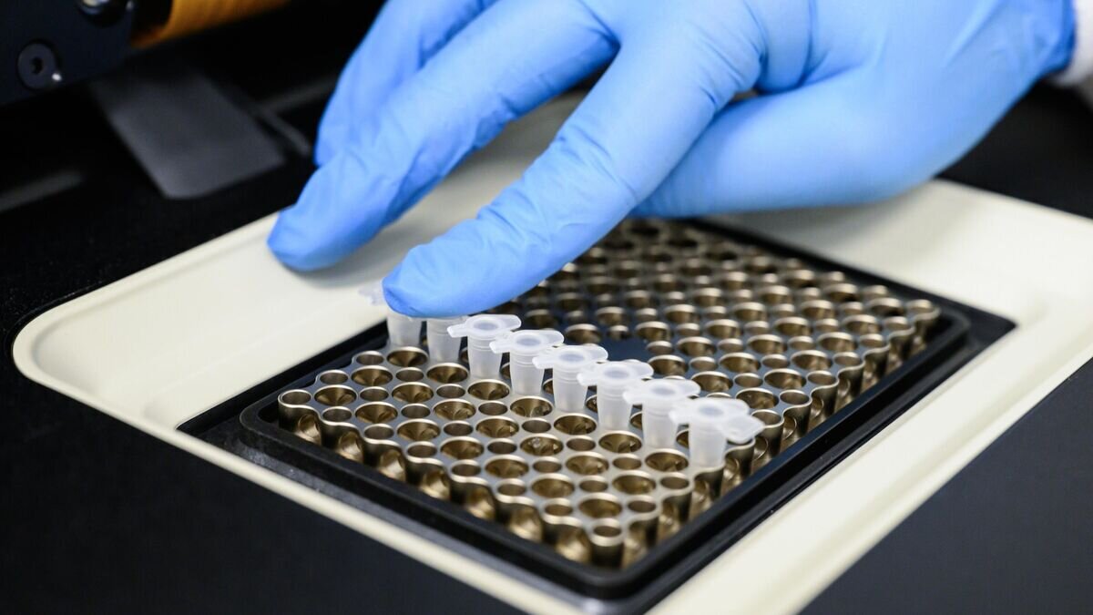    Сотрудник Диагностического центра лабораторных исследований Депздрава Москвы загружает образцы в амплификатор во время пцр-исследования© РИА Новости / Илья Питалев