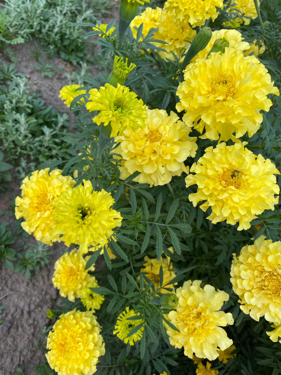 Личное фото 