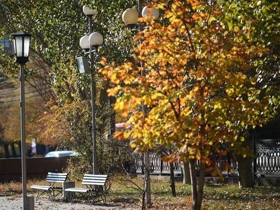     © Фото: ИД «Волгоградская правда» / Кирилл Брага / архив.