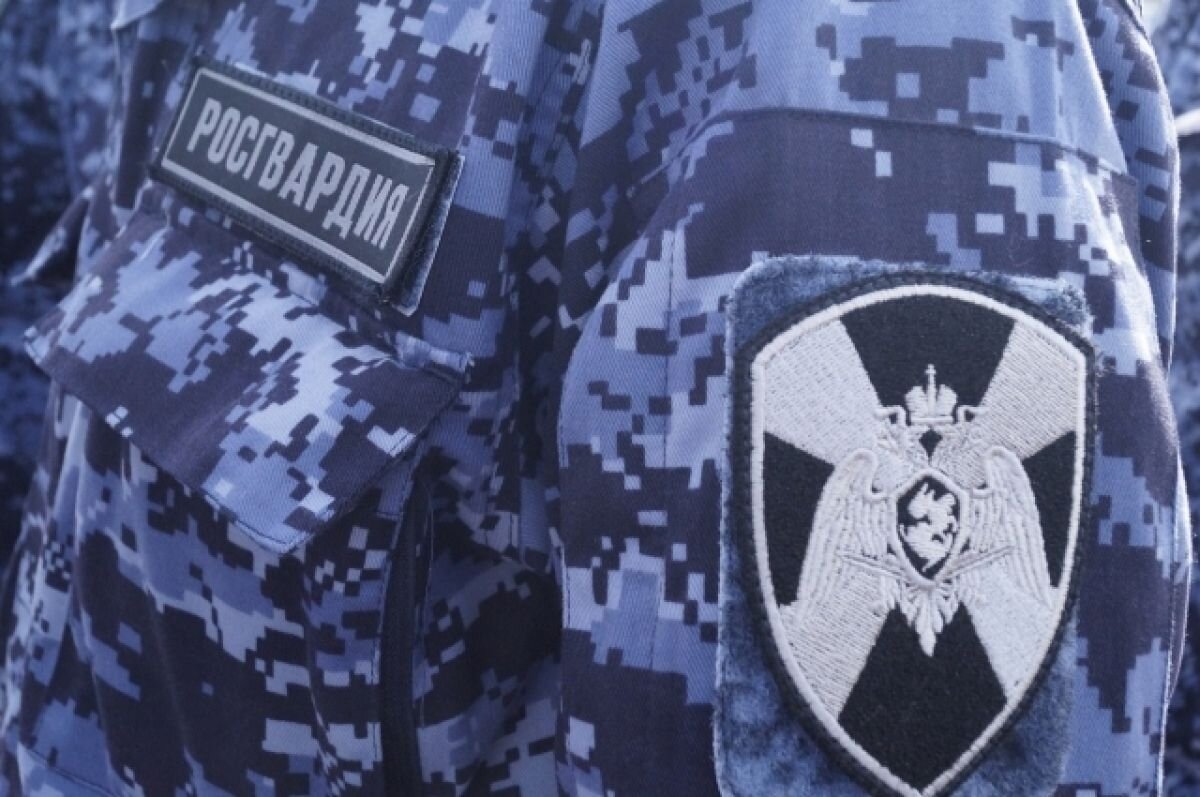    Более 200 пензенских росгвардейцев будут обеспечивать порядок на выборах