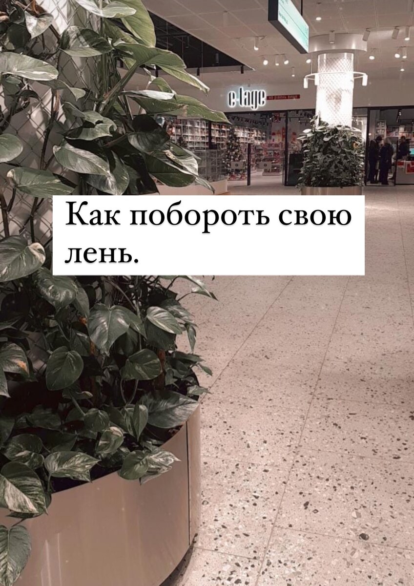 
⠀ 
✔️Проанализируй свою жизнь и составь чёткий план действий 
⠀ 
✔️Зафиксируй положение, в котором находишься сейчас 
⠀ 
✔️Пиши отчёты о проделанной работе, чтобы видеть прогресс
⠀ 
✔️Ежедневно работай над своей дисциплиной 
⠀ 
✔️Двигайся маленькими шагами 
⠀ 
✔️Окружи себя людьми, которые поддерживают и разделяют твои ценности

