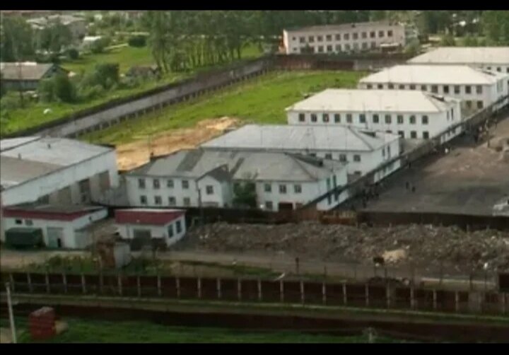 Фото из интернета. 