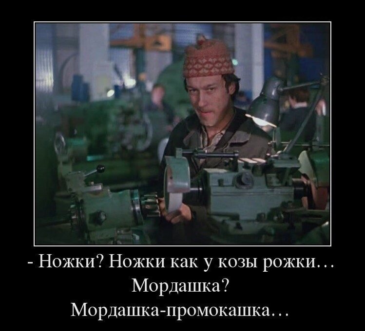 Фраза мп 3. Фраза мп 3. Смешные фразы из жизни. Фраза мп 3. Фраза мп 3.