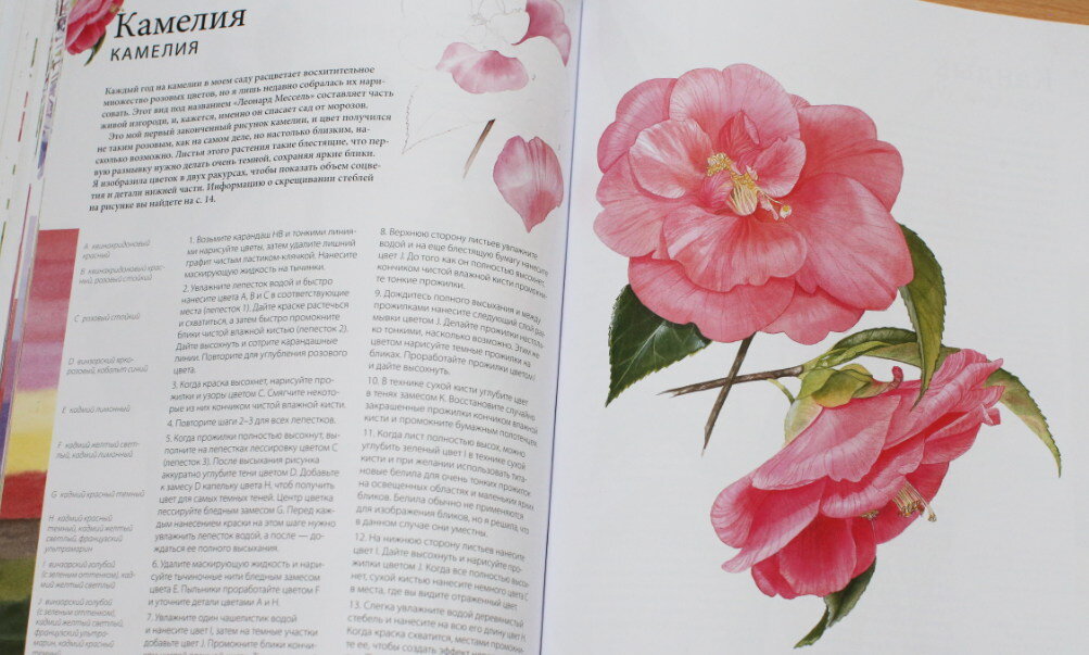 Тематический праздник — это возможность продавать в том числе и книги, которые можно связать с данным праздником.