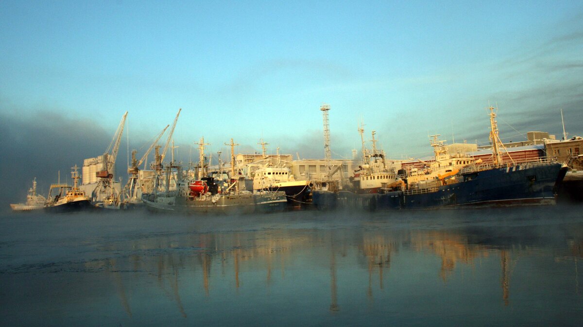 Рыбный порт. Мурманск рыболовецкий порт. Морской рыбный порт Мурманск. Причалы Мурманского морского рыбного порта. Мурманский рыбный порт в 80х.