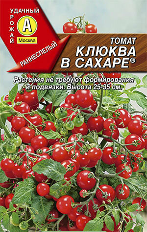 Выращивание садовой клюквы на участке – все о посадке и уходе