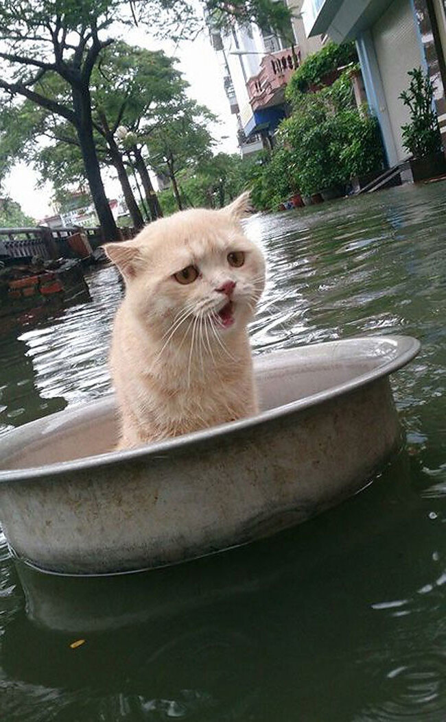 Источник: pinterest.com