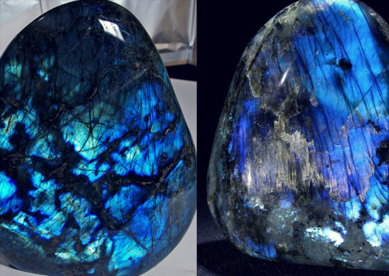 Иризация лабрадора