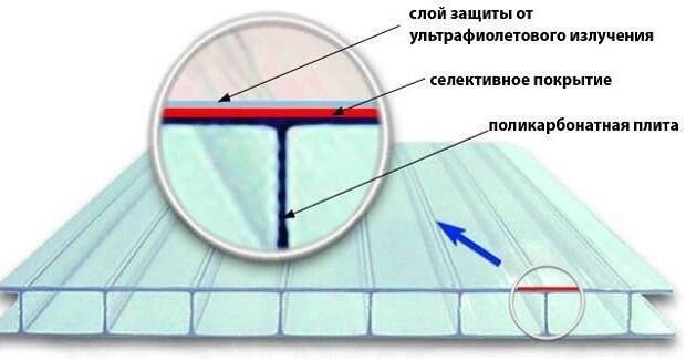 Как сделать теплицу своими руками