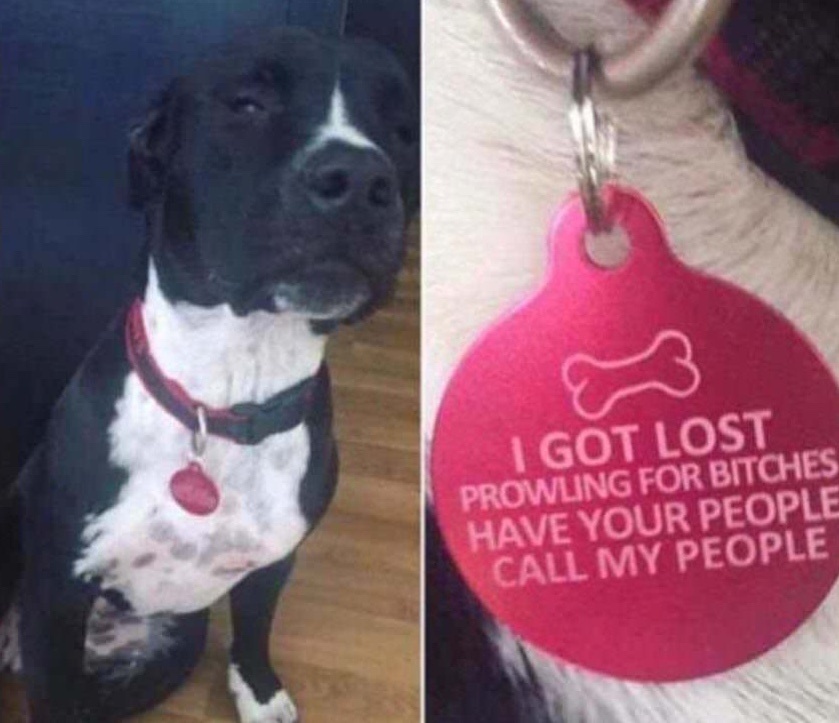 Я потерялся, гоняясь за сучками. Пусть кто-то из ваших позвонит моим людям.(перевод)