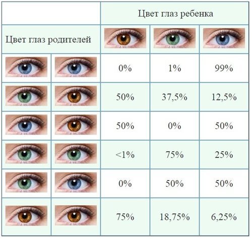 Наследование цвета глаз и генетика: таблица