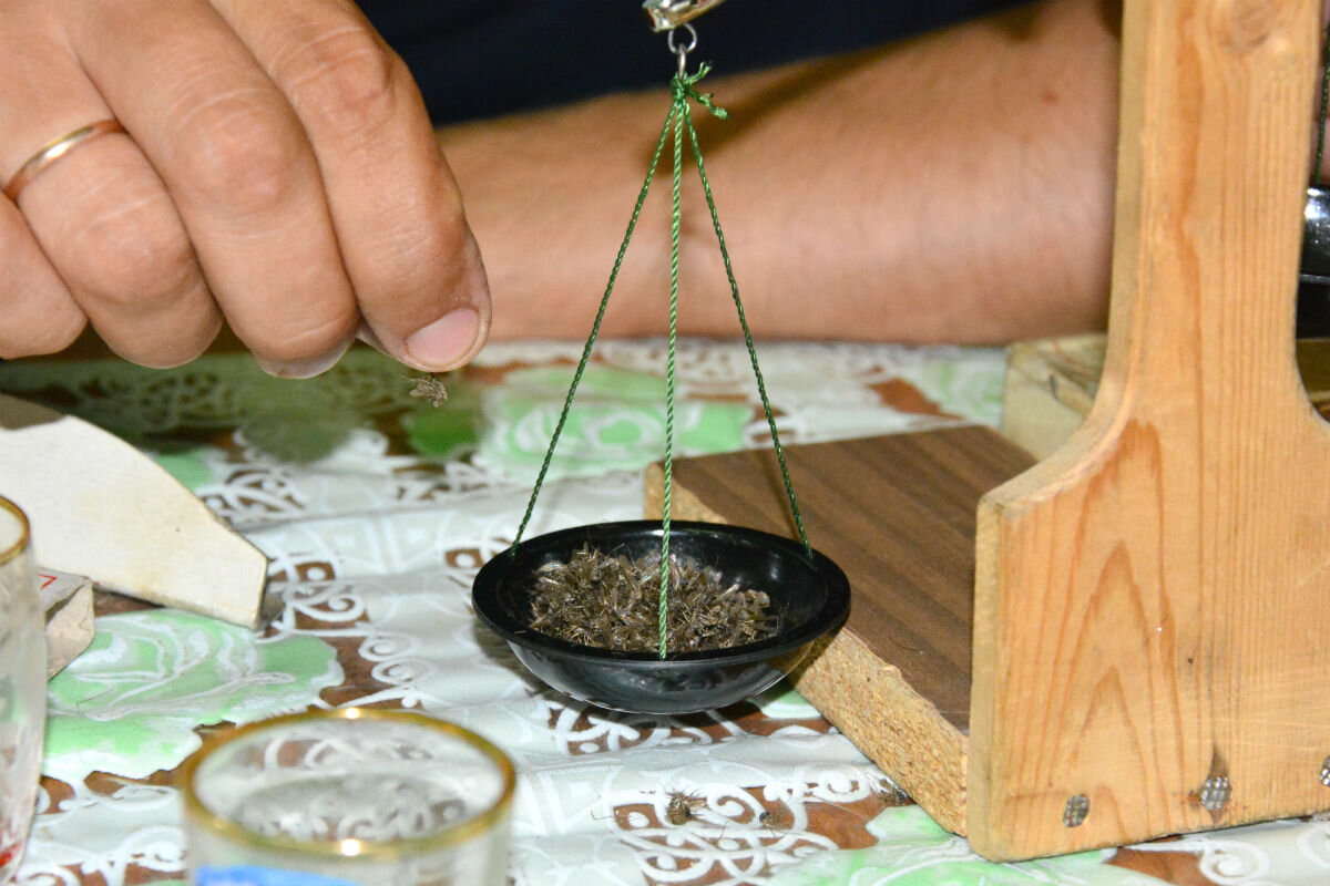 Фото https://russkij-sever.livejournal.com/