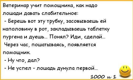 Как успеть все и при этом не потерять юмор?