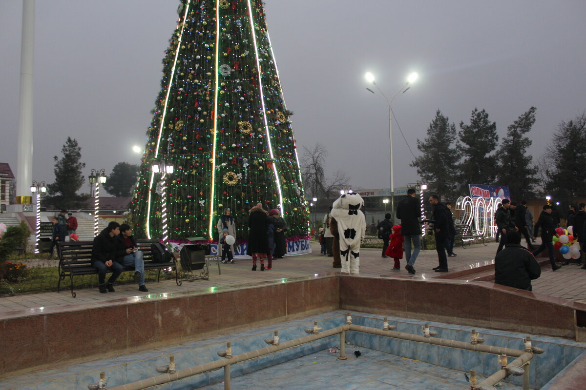 Ёлка в Бохтаре (Курган-тюбе). Фото: Asia-Plus