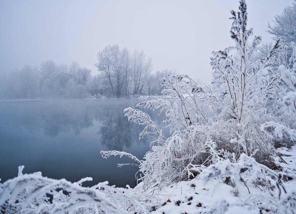 Источник фото: https://pixabay.com