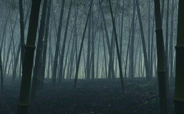 Google foto. Туман появляется внезапно.