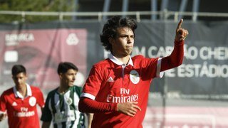 Самый молодой автор хет-трика в лиге европы оформивший его в игре против Айнтрахта. Воспитанник Бенфики прошедший всю вертикаль молодежных клубов сейчас разрывает Лигу Европы. Самый молодой автор гола лиссабонского дерби. Новая надежда португальского футбола. Потенциал в игре 175.