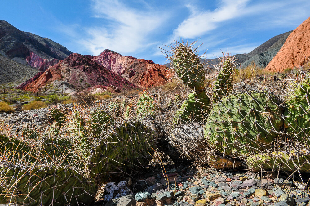 ���������� ����������� �� ��������� ����� � ���������. � ������ ���� ��������� ��������� � ��������� ������� ����������, � ������� ��������� ���� �� ������� ��������� ����� - ����������� ����.-8