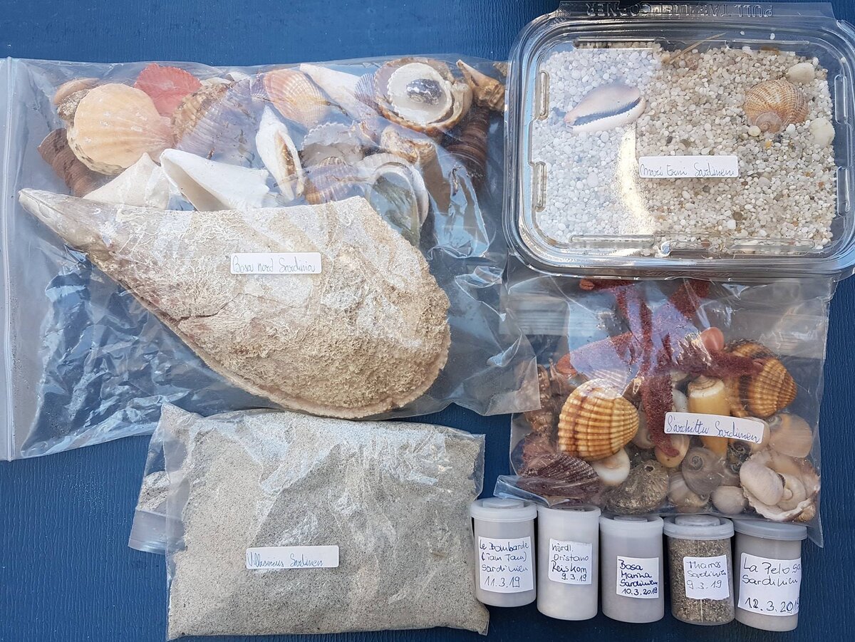 Фото: teleambiente.it (это “улов” сотрудников аэропортов Сардинии: предприимчивые немцы рассчитывали вывезти всю эту красоту и, вероятно, продать)