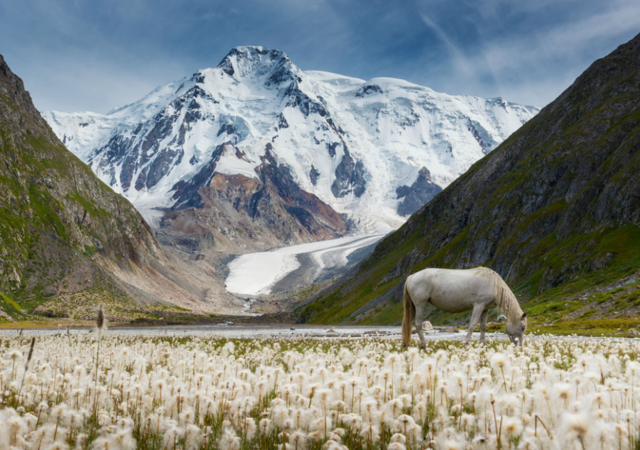 Тянь-Шань, Киргизия.