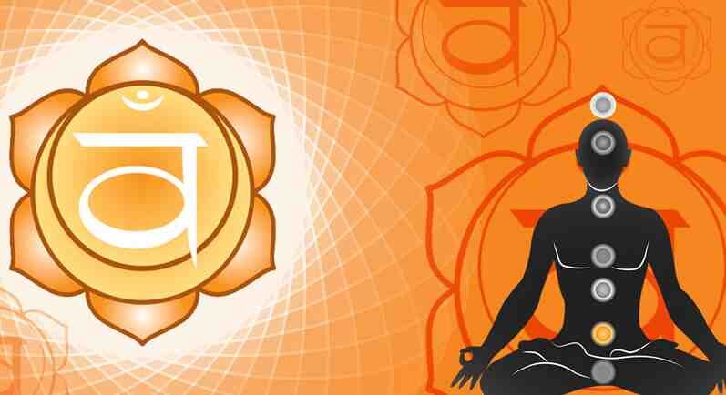 Свадхистана - вторая чакра. Находится в проекции наружных половых органов.