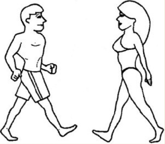 Они видят друг друга. 