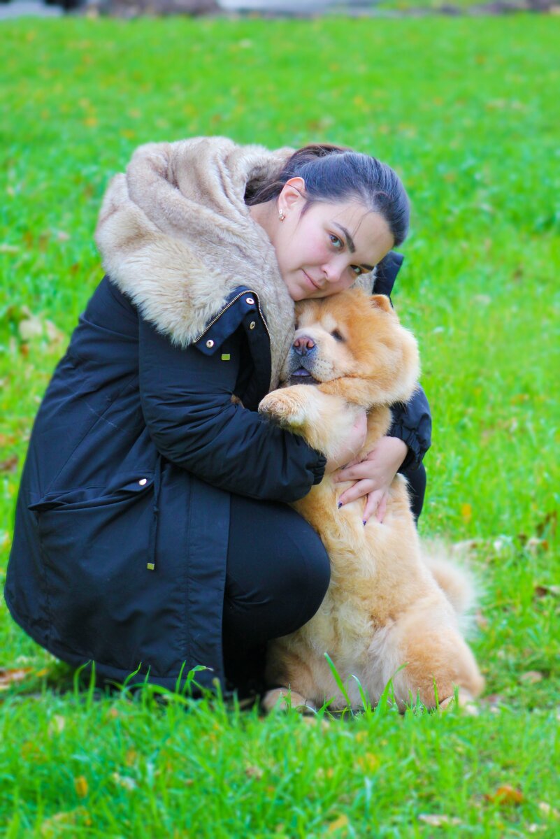 На фото заводчик мини чау со своим питомцем