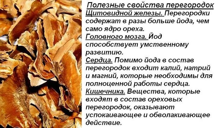 Полезные и вредные свойства грецкого ореха: лучшие рецепты