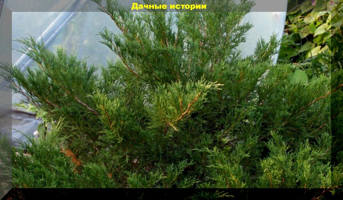 https://vk.com/photo-159774511_457243055