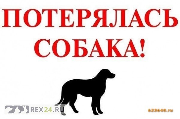 Фото: 623640.ru