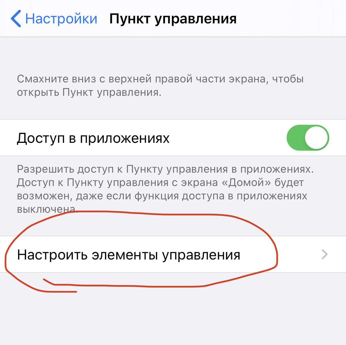 Как добавить запись экрана в айфоне в шторку быстрого доступа и как  записывать звук видео с динамика или голос через микрофон. | Ирина Юрьевна  | Дзен