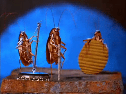 DIY: Как собрать робота-таракана из скрепок